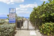 Top Palm Beach