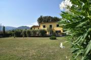 Top Pescia
