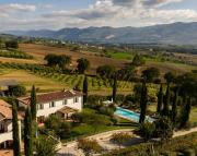 Top Montefalco
