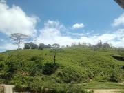 Knuckles Elephant Mount Homestay