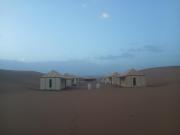 Sahara Caravan