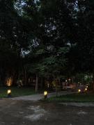 Oferta noclegów 17144575