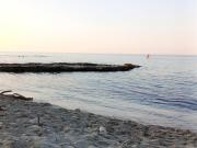 Top San Foca