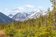 Top Alyeska