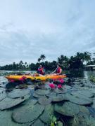 Top Kumarakom