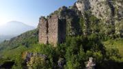 Top Trescine