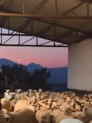 Top San Demetrio Corone