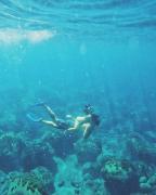 Top Faial da Terra