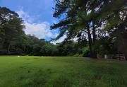 Top Campo Alegre