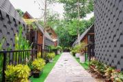 Top Cồn Giả Viên