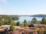 Top Henån