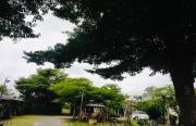 Baan Chomchan - Thale Noi บ้านพักชมจันทร์
