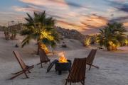 Top Joshua Tree