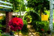 Top Borzont