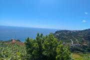 Top Ribeira Brava