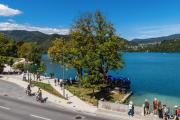 Top Bled