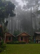 Top Ban Huai Makhuea Som