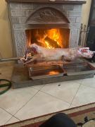 Top Bajram Curri