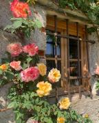 Top Feltre