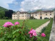 Top Feltre