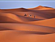 Top Merzouga