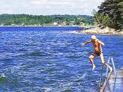 Top Ljungskile
