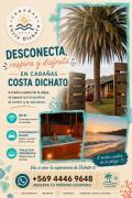 Top Dichato