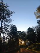 Top Caldas