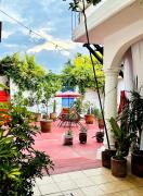 Central Oasis Suite with Terrace Patio Jalatlaco