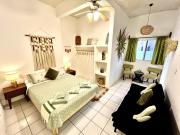 Central Oasis Suite with Terrace Patio Jalatlaco