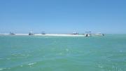 Top Siesta Key Top Siesta Key