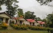 Top Jyoti Gaon