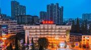 Top Leshan