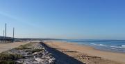 Top Almada