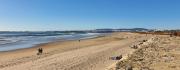 Top Almada