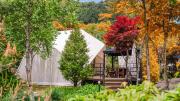 Gapyeong Pine4rest Glamping