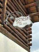 Top Surcasti
