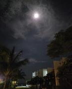 Oceanami Resort Sea View