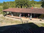 Top Ponti