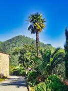 Top Pescia