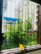 Top Hanoi