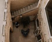 Top Għasri