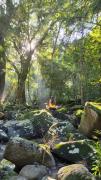 Sierra Jungla