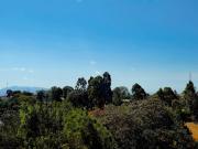 Top Meru