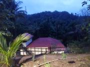 Top Agali