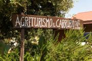 Top San Donato