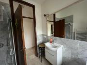 Top Carrara