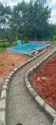 Top Yelagiri
