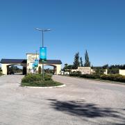 Top Dolores
