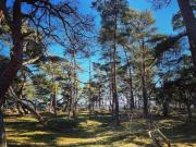 Top Halltorp